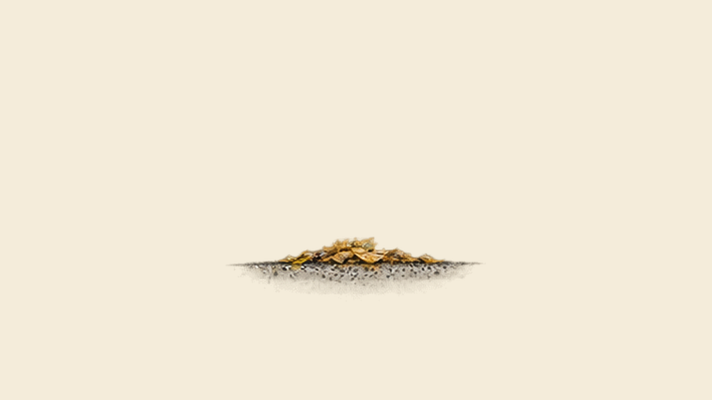 Residue takes over the scene. No unexplained living root network remains.